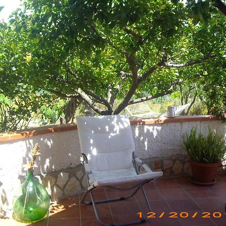 La Bianca Scogliera Bed & Breakfast Realmonte Luaran gambar