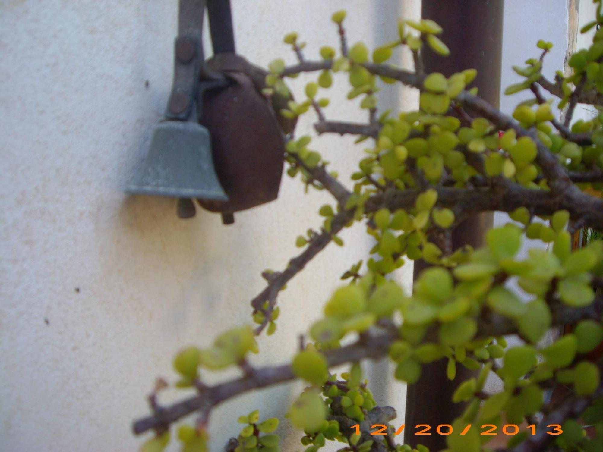 La Bianca Scogliera Bed & Breakfast Realmonte Luaran gambar