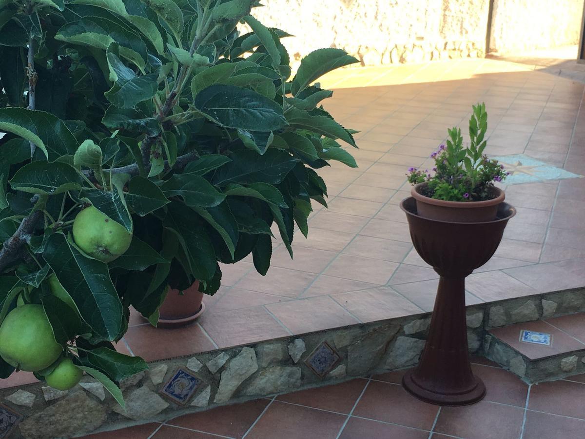 La Bianca Scogliera Bed & Breakfast Realmonte Luaran gambar